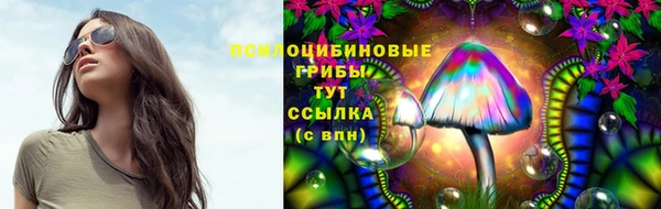 скорость mdpv Новодвинск