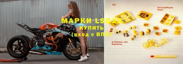 таблы Новозыбков