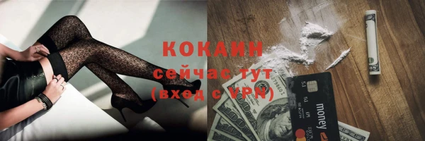 твердый Новокубанск
