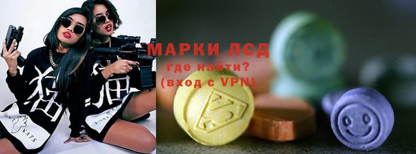 таблы Новозыбков
