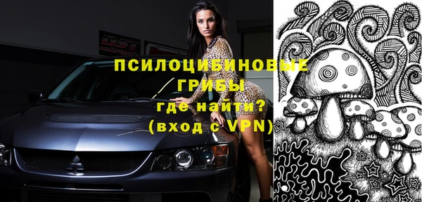твердый Новокубанск