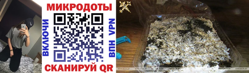 Псилоцибиновые грибы ЛСД Сертолово