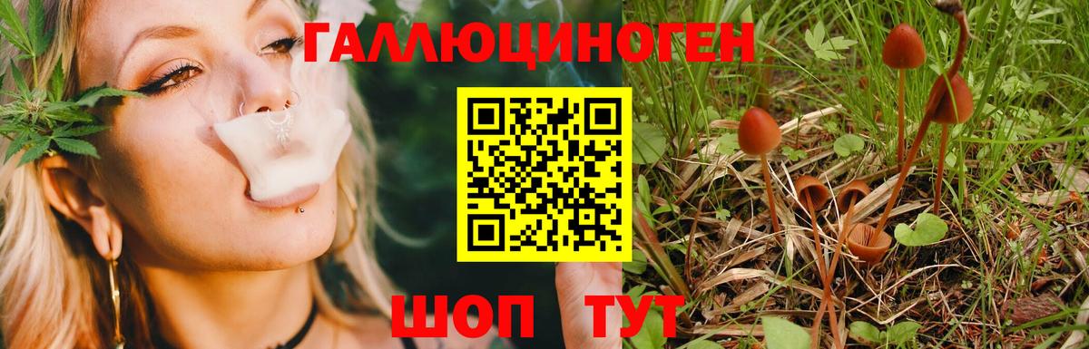 Сертолово  Псилоцибиновые грибы ЛСД  Вход с VPN  Псилоцибиновые грибы мухоморы 